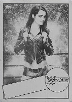 2015-topps-wwe-heritage-wrestling-black-printing-plate-sk16-shortprint-5-paige