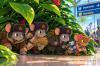 Operation Island Hop: Big Island to Oahu